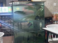 -煲来饱去冷水鱼