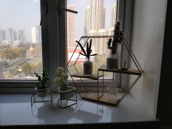 -Syinstyle私人定制