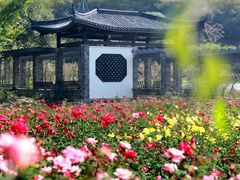 -龙寺生态园