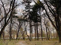 -长春市南湖公园