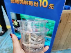 -广州长隆飞鸟乐园