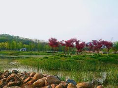 -佛手湖郊野公园