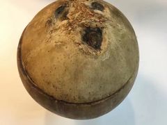 -志龙皇冠吃货椰子铺