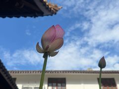-蒋氏故居