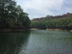 -红花湖景区
