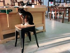 -观澜湖手艺工场·陶艺·吹玻璃·拼豆