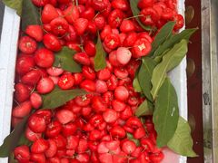 -老炳·七丛松甘草水果