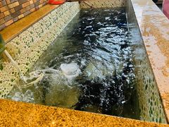 -荣德灶台鱼(圣泉寺店)