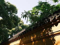 -西园戒幢律寺