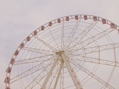 -顾村公园