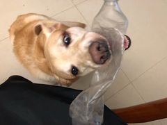 -自贡好吃客(科华店)