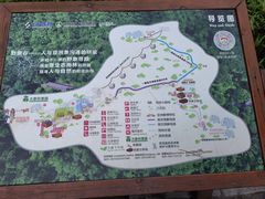 -野象谷景区