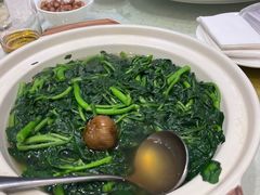-东国海鲜火锅城(氹仔店)