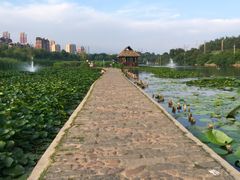 景点-前关湿地公园