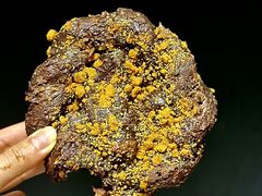 花生巧克力碱水酥-B&C黄油与面包·THE GARDEN BAKERY概念店(世纪汇店)