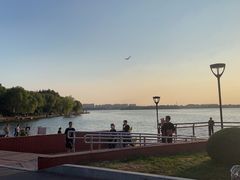 -丁香湖公园