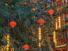 -大佛古寺