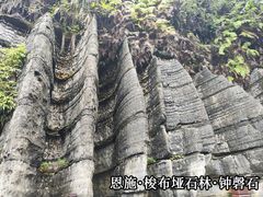 -梭布垭石林景区