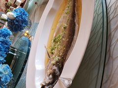 -上海和平饭店龙凤厅 Dragon Phoenix