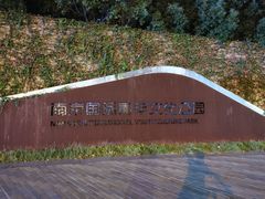-南京眼步行桥