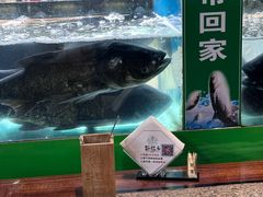 -好灶头妈妈菜·柴火灶台鱼·千岛湖土菜地标美食