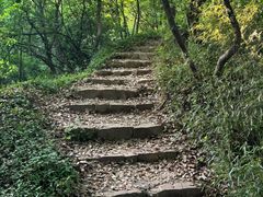 -惠山国家森林公园