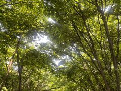-气象山健身公园