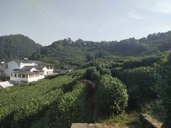-阿琴面馆(武林路店)