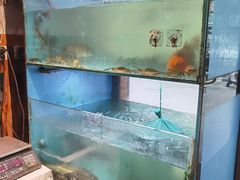 水产区-小钱鱼馆(富春路店)