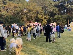 -上海神旺大酒店