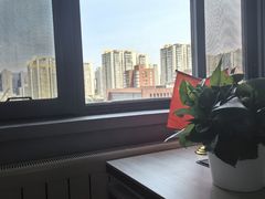 -北京华佳律师事务所(双井店)