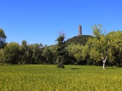 -北坞公园