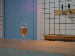 -ZING鲸鱼啤酒(葡萄院店)