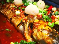 -鱼酷活鱼烤鱼(昆明路店)
