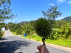 -敬亭山风景名胜区