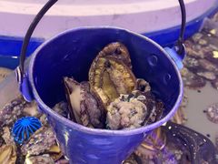 鲜活鲍鱼-澜悦港海鲜体验主题餐厅