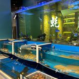 威海这家海鲜烧烤店🦪🍻还有谁没去过！