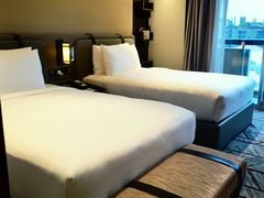 -新加坡瑞士史丹福酒店