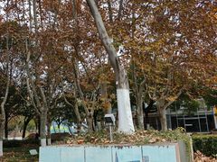 -白塘生态植物园