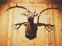 门面-新白鹿餐厅(城西银泰城店)