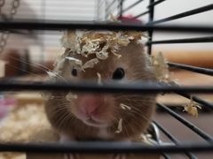 -龟与熊猫宠物公园(南坪店)