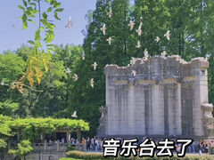 -音乐台
