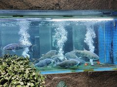 -又见炊烟私房菜(敬亭路店)