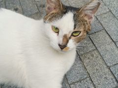 -Wagas沃歌斯(尚街店)