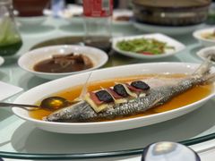 鸡汁花雕火腿蒸鲥鱼-瑞福园联谊餐室(茂名南路店)