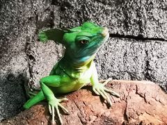 -上海大自然野生昆虫馆
