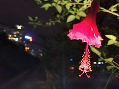 -江滨壹号艺文空间复合餐厅(闽江大道店)
