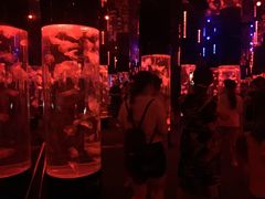 -成都浩海立方海洋公园