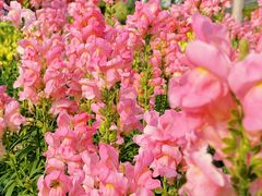 -文华公园(禅城区)