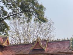 -西双版纳傣族园